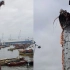 厉害了！智利一渔民捕获长达4.9米巨大皇带鱼，网友：龙王出世？