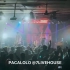 【Pacalolo】乐队【DDDDdisco】在郑州7Livehouse第7次演出