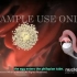 【3D医学动画】不孕不育症进行人工授精的过程（中英双字幕+原版英文）