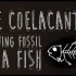 【Ted-ED】腔棘鱼：活化石 The Coelacanth A Living Fossil Of A Fish