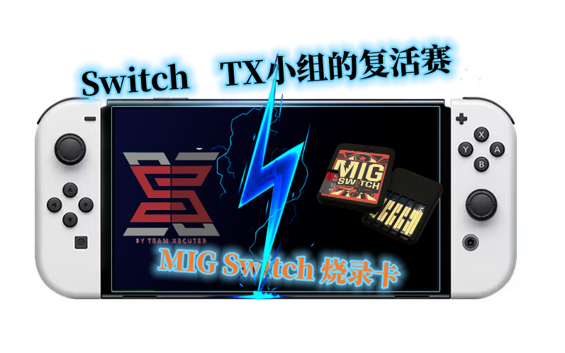 【Switch烧录卡】擦边球+智商税,这波buff叠满了!哔哩哔哩bilibili游戏杂谈