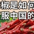 西方发现的辣椒，为什么却在中国发扬光大？【电子榨菜】