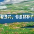 【宫崎骏动画电影混剪】“爱是花，你是那种子。”