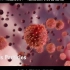 3D动画演示：活疫苗的制备过程