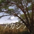 【TBS纪录片】世界遗产：东非大裂谷的湖泊系统（2018年08月05日）【诸神字幕组】