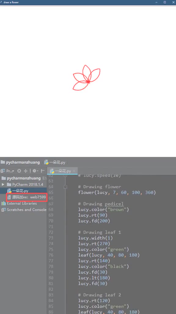 大神用python画一朵花