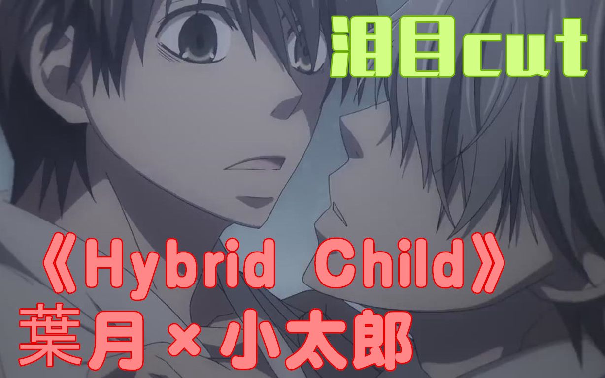 hybridchild叶月小太郎泪目cutbgm一出我就受不了了