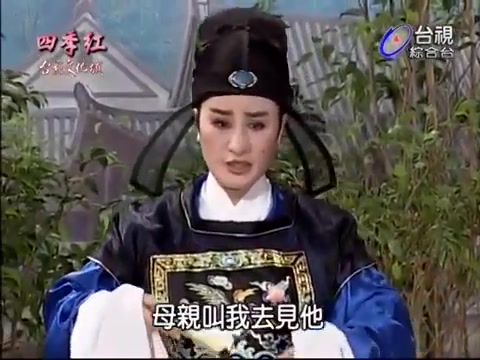 1997年杨丽花歌仔戏七品巧县官