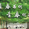 【致敬青春】青春为何，青春何为