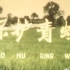 【1964年上海科学教育电影制片厂彩色科教片】《保护青蛙》