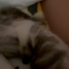 一线天