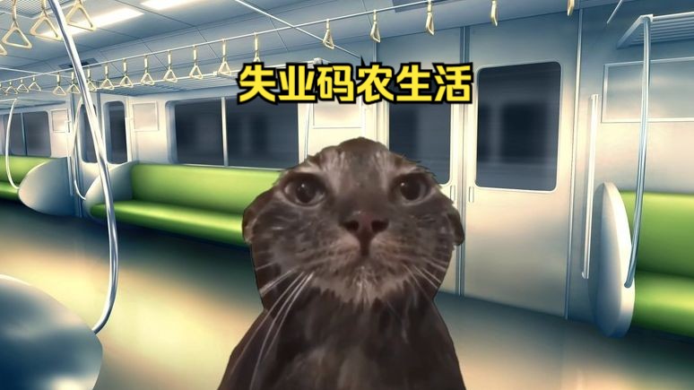 【猫meme】大厂失业码农的生活实录
