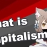 【双语字幕】什么是资本主义