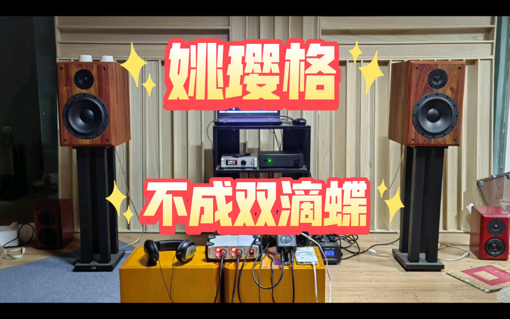 不成双的蝶 姚璎格 斯泊特肚脐眼高音惠威d8.8mkii