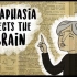 【Ted-ED】失语症：让你哑口无言的病症 Aphasia The Disorder That Makes You Lo