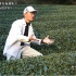 【搬运】日本农民用英文介绍自家茶园 原谅我笑了 @阿尔法小分队