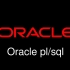 Oracle plsql从精通到高薪(高级阶段)