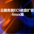 云服务器ECS磁盘扩容-linux篇