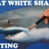 【油画】brennerfineart教你绘画逼真海底鲨鱼