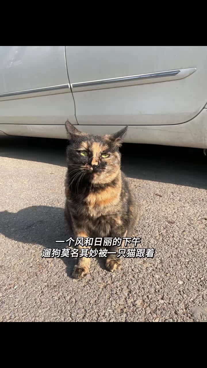 这是一条价值五万块的视频，给新粉看一下我的大冤种之路