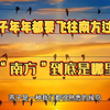 燕子年年都要飞往南方过冬，那“南方”到底是哪里