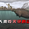 5种被人类吃灭绝的动物，从50亿只到彻底绝种，仅仅用了一百年