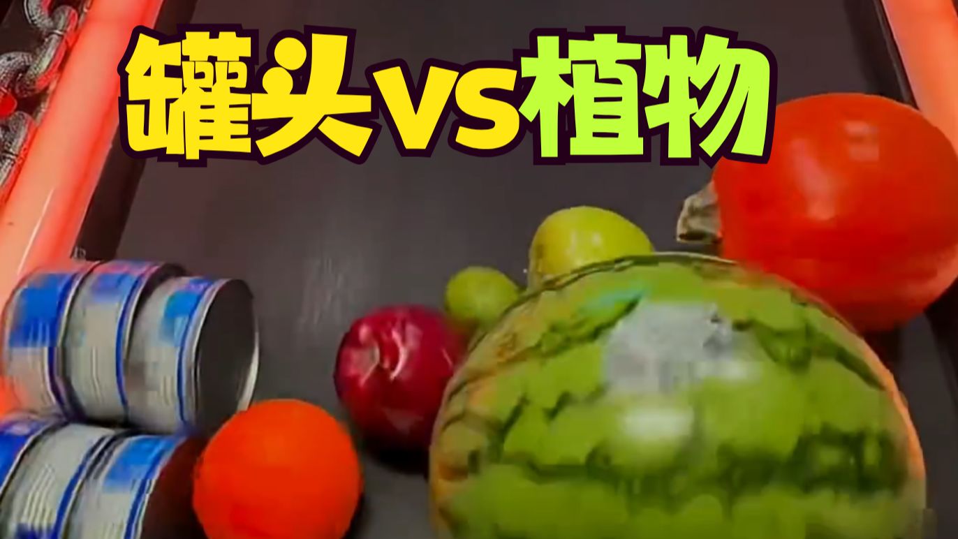 🍎植物大战罐头🥫~💪跑步机淘汰赛！事到如今别再装正人君子了