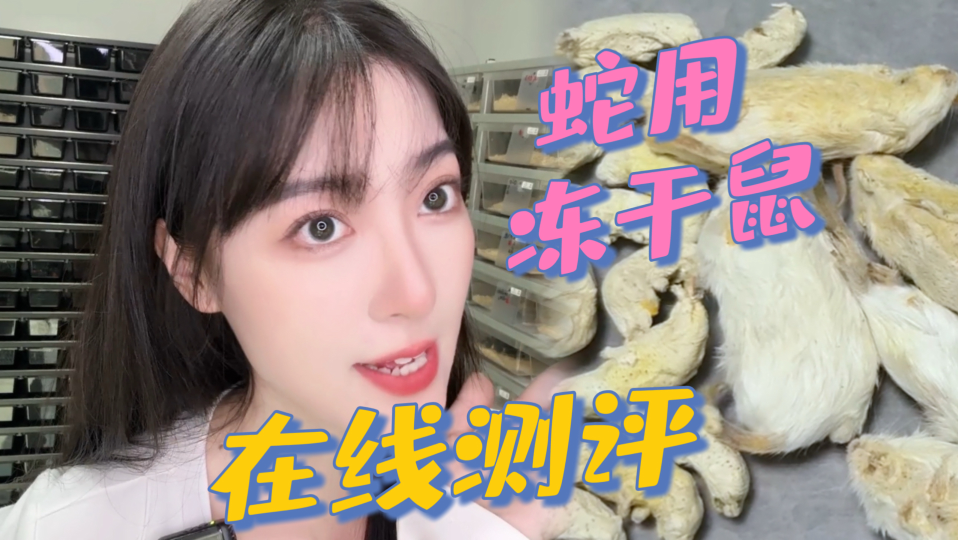 蛇用冻干鼠靠谱吗？在线测评！拯救养蛇佬的冰箱！