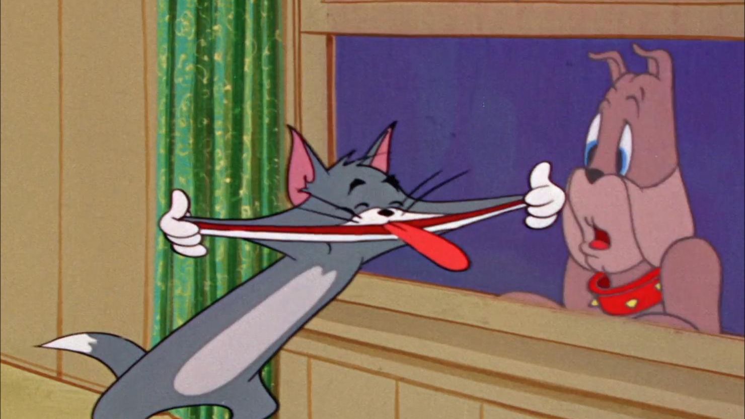 去码头整点薯条vv