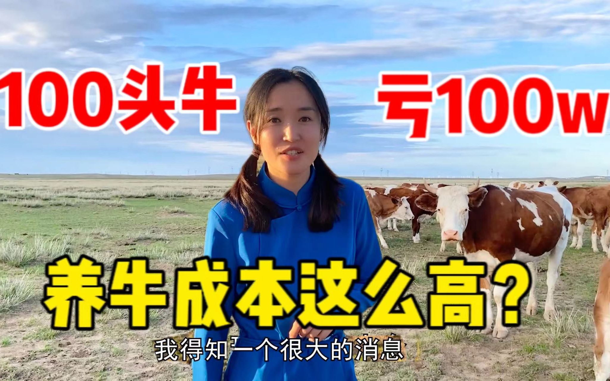 内蒙养牛成本有多高?国企小伙返乡年亏100w,100头牛1天吃1500草料