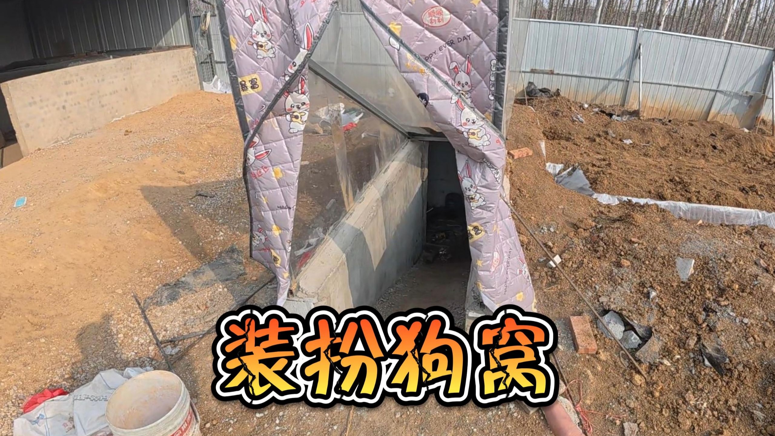 咱这个地下狗窝又又又升级了！