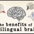【Ted-ED】双语学习对大脑的益处 The Benefits Of A Bilingual Brain