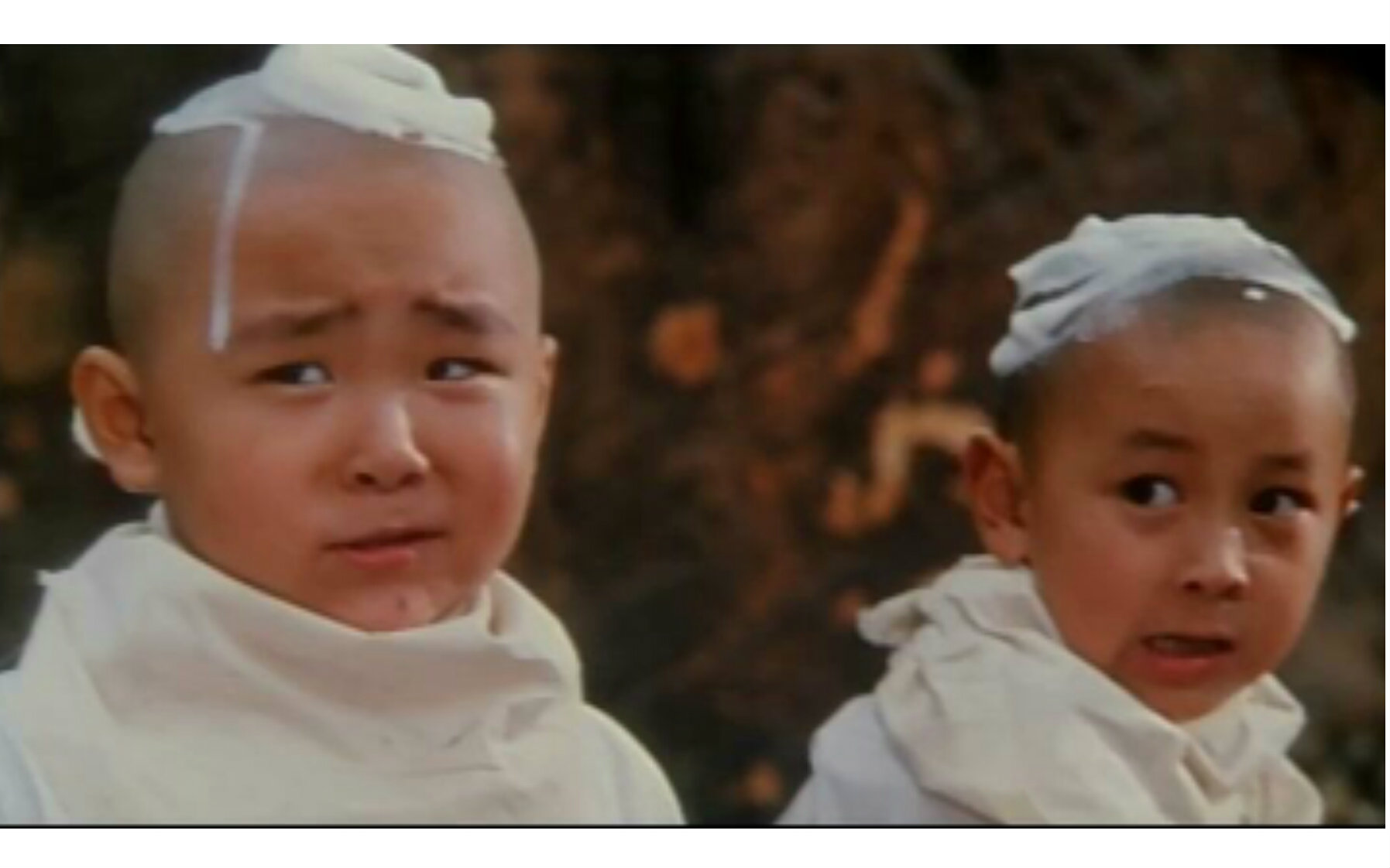 新_视频在线观看-爱奇艺搜索