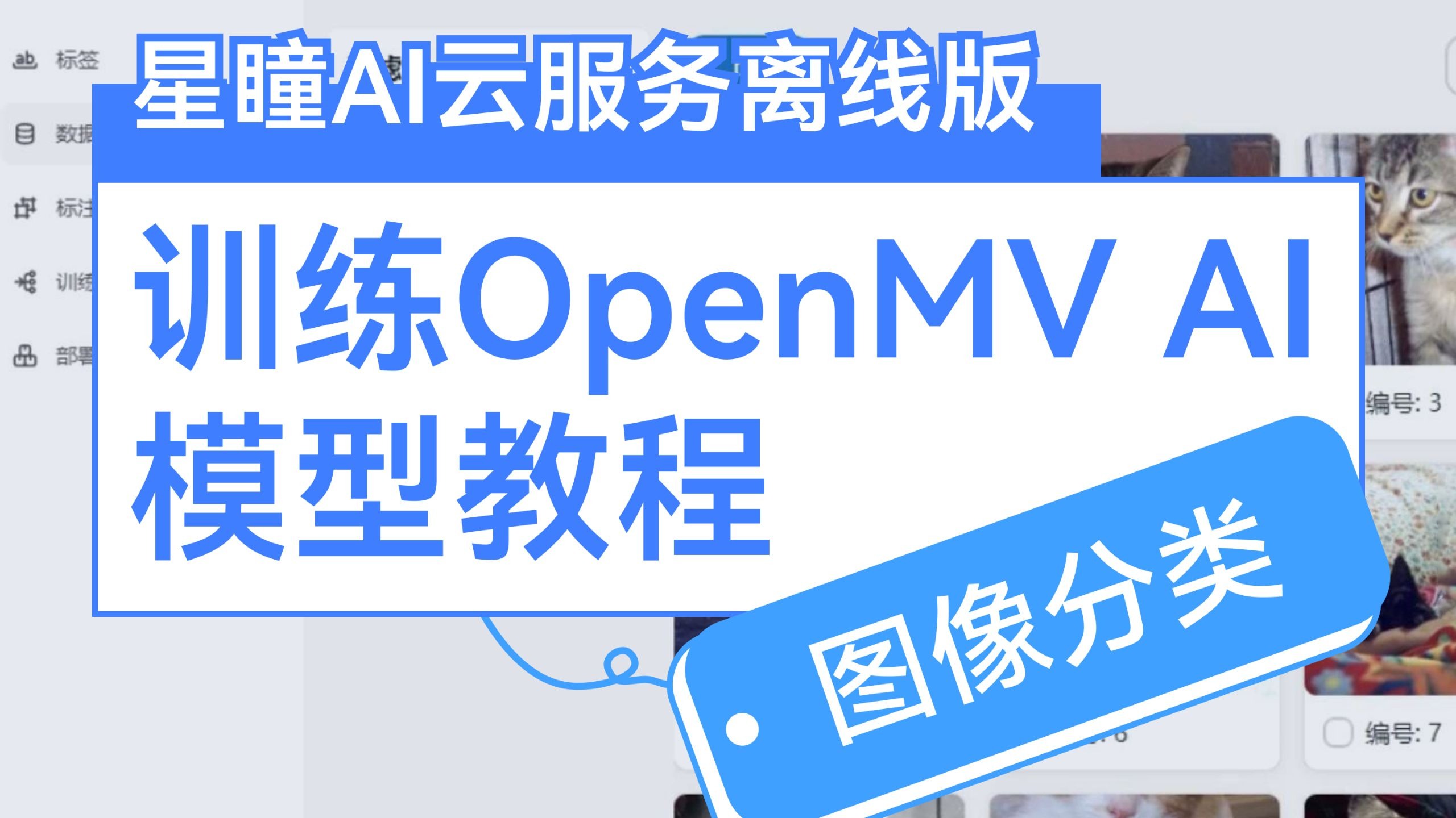 星瞳科技OpenMV视频教程-【星瞳AI云服务离线版】一分钟学会训练OpenMV AI模型-图像识别分类