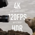 【4K 120FPS HDR】拍摄一部高帧率短片是什么体验？