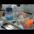 最新28种生物医学实验原理及操作视频