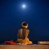 【Buddha’s Lounge冥想】-Moonlight in Varanasi - Flute Music