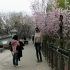 天津桃花园又一新景观，偶遇2米高女巨人，看到的人都惊呼太高了 ，让无数男人汗颜的身高
