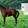 各种动物的叫声大合集，哪种动物的你没听过