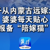 女子从内蒙古远嫁北京 婆婆每天贴心视频报备“陪嫁猫”状态“在空调外机上撒小米招鸟给猫看”“很感动 被重视的感觉真好