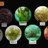 1.藻类植物