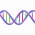 【生物】DNA和RNA在化学组成上的区别