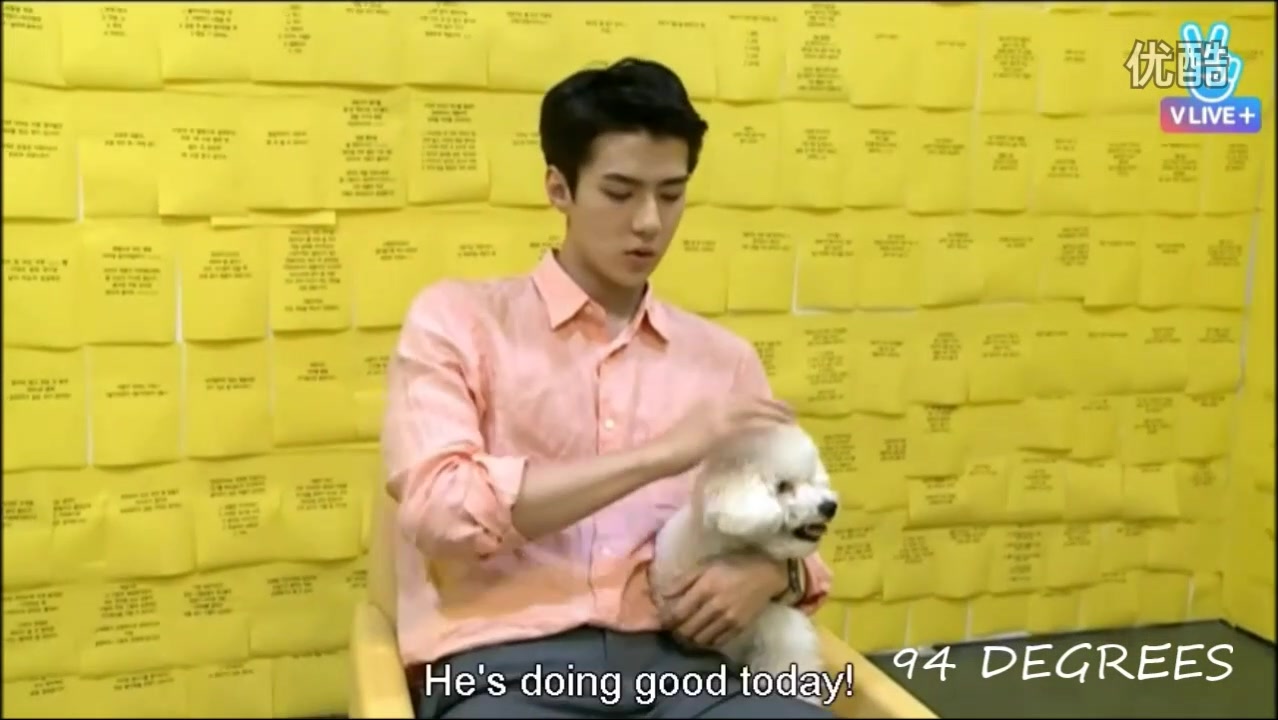 【exo】 吴世勋和vivi的第二次直播