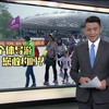 【个体导游】新闻透视：导游自由执业带来什么