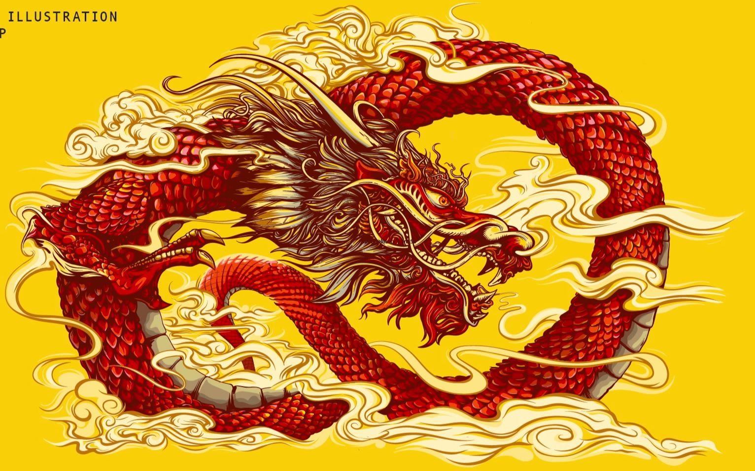 adobecreativecloud中国宣传视频