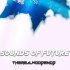 [免费FLP工程]TheRealWoodenGD - Sounds Of Future