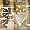 【音乐云视听】繁花 片头+片尾 | 繁花落尽终成空，空到尽头忆繁华