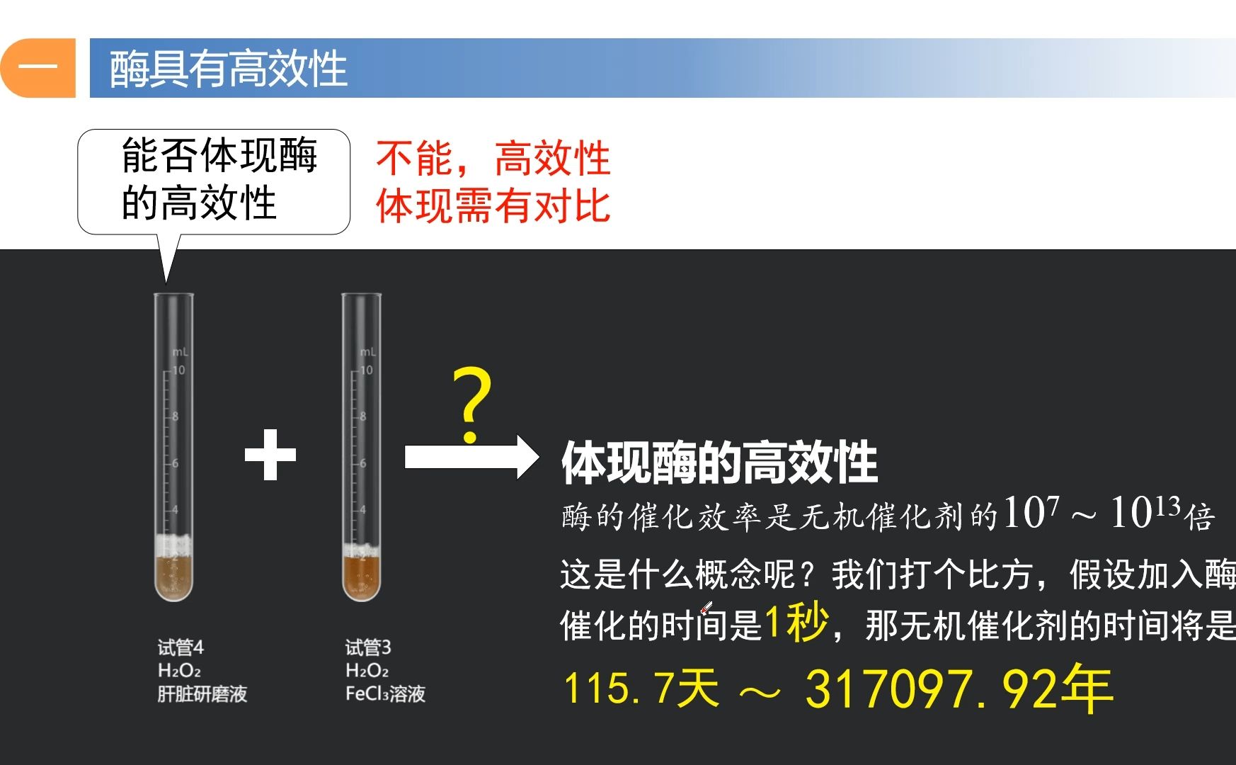 5.1降低化学反应活化能的酶——酶的作用和本质 第3节课