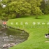 【生日旅行】英国花园城堡Hever Castle午后特辑，白日落雨，静默如谜 | Sony A7M3+Ronin-SC+