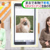 20200206 あさチャン! 日本最新熱搜關鍵字新聞 【宇賀神メグ】【生肉